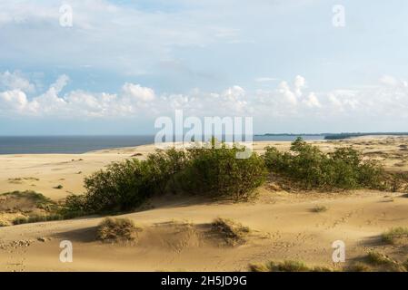 Herrlicher Blick auf die sandigen Grauen Dünen an der Kurischen Nehrung. Das Konzept von Tourismus und Erholung. Stockfoto