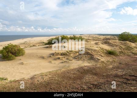 Herrlicher Blick auf die sandigen Grauen Dünen an der Kurischen Nehrung. Das Konzept von Tourismus und Erholung. Stockfoto