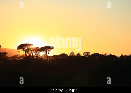 Sonnenuntergang im Massif de Maures, Var, 83, Provence, Frankreich Stockfoto