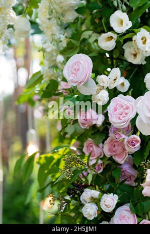 Bogen für eine Hochzeitszeremonie aus frischen Blumen in weiß und rosa, Nahaufnahme. Weicher, selektiver Fokus. Stockfoto