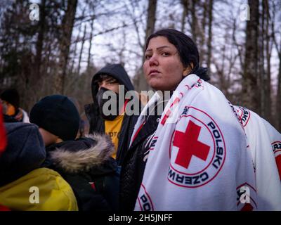 Narewka, Polen. November 2021. Eine junge Frau aus Dohuk mit ihrer Familie wartete darauf, von polnischen Grenzsoldaten begleitet zu werden, nachdem sie Asyl beantragt hatte.Eine siebzehnköpfige Flüchtlingsfamilie, darunter neun Kinder aus Dohuk, Irak, verbrachte siebzehn Tage in einem Wald an der Grenze zu Belarus - Polen und wurde achtmal zurückgedrängt. Verzweifelt mit einem sieben Monate alten Baby und einer älteren Frau mit Beinproblemen beschlossen sie, Aktivisten um Hilfe zu bitten. Kredit: SOPA Images Limited/Alamy Live Nachrichten Stockfoto