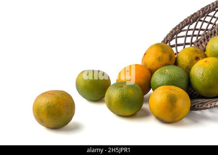 Mandarinen, frische Mandarinenorangen, die aus einem Korb gefallen sind, Zitrusfrüchte, die auf weißem Hintergrund verstreut sind Stockfoto