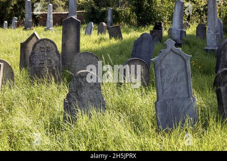 Zidovsky hrbitov, město Holesov, Zlinsky kraj, Česká republika / jüdischer Friedhof, Stadt Holesov, Mähren, Tschechische republik Stockfoto