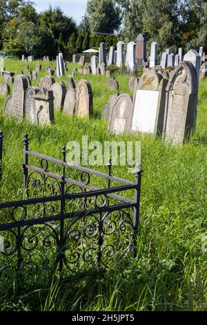 Zidovsky hrbitov, město Holesov, Zlinsky kraj, Česká republika / jüdischer Friedhof, Stadt Holesov, Mähren, Tschechische republik Stockfoto