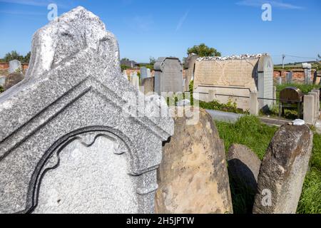 Zidovsky hrbitov, město Holesov, Zlinsky kraj, Česká republika / jüdischer Friedhof, Stadt Holesov, Mähren, Tschechische republik Stockfoto