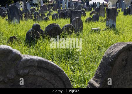 Zidovsky hrbitov, město Holesov, Zlinsky kraj, Česká republika / jüdischer Friedhof, Stadt Holesov, Mähren, Tschechische republik Stockfoto