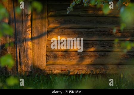 Eine alte hölzerne Scheunenwand während eines sommerlichen Sonnenuntergangs in estnischer Landschaft. Stockfoto