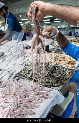 Frischer Oktopus, der von einem Händler auf dem Seafood Market in Abu Dhabi, VAE, ausgestellt wird. Stockfoto