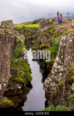 Moos und Flechten auf Felsen am mittleren atlantischen Kammspalt in Island. Stockfoto