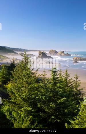 Das Morgenlicht verleiht Cape Sebastian an der South Oregon Coast, Oregon, USA, Schönheit Stockfoto