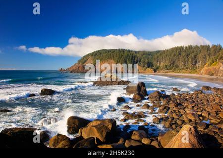 Nachmittagslicht entlang Short Beach und Indian Beach, Ecola State Park; Oregon, Vereinigte Staaten von Amerika Stockfoto