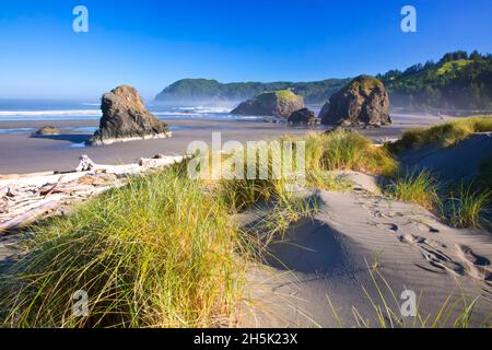 Das Morgenlicht verleiht Cape Sebastian an der South Oregon Coast, Oregon, USA, Schönheit Stockfoto