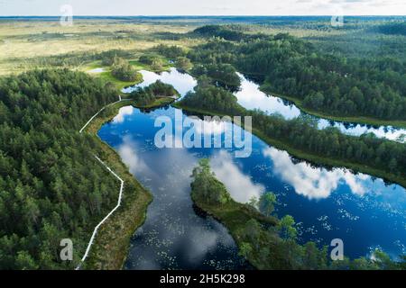 Ein Luftzug von sommerlichen Sumpfseen mit Wolkenreflexion an einem ruhigen Abend in Mukenmoor, Estland. Stockfoto