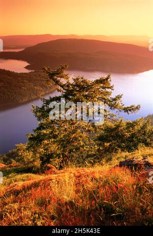 Blick vom Mount Maxwell Salt Spring Island, Britisch-Kolumbien, Kanada Stockfoto