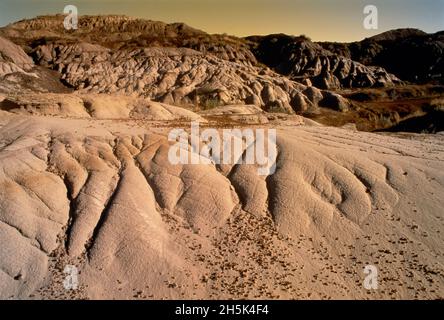 Horseshoe Canyon in der Nähe von Drumheller, Alberta, Kanada Stockfoto