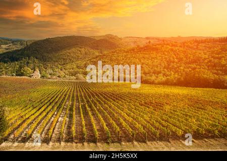 Panoramablick über die Chianti-Weinbaulandschaft mit Steinhaus in der Toskana, Italien, Europa bei spektakulärem Sonnenuntergang. Stockfoto