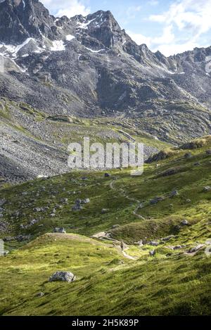 Die eingefleischte Wanderin und ihr Hund auf dem Reed Lakes Trail sind von der beeindruckenden Landschaft in den Schatten gestellt: Palmer, Alaska, USA Stockfoto