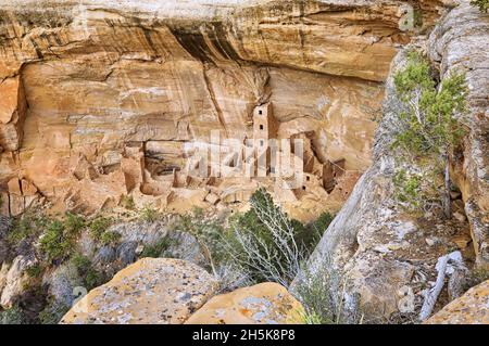 Square Tower House eine Steinstruktur, die in die adobe-Klippen des alten Pueblos im Navajo Canyon im Mesa Verde National Park gehauen wurde Stockfoto