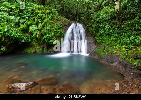 Heiterer Wasserfall, Cascades aux Ecrevisses, in einem tropischen Wald auf Basse-Terre; Guadeloupe, Französisch-Westindien Stockfoto