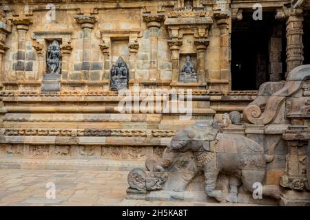 Drei Nischen mit hinduistischen Gottheiten in einer Wand und geschnitzte Elefantentreppe des Dravidian Chola-Ära Airavatesvara Temple; Darasuram, Tamil Nadu, Indien Stockfoto