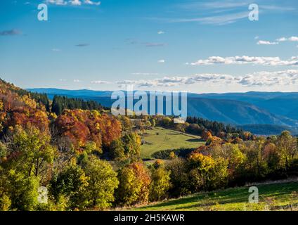 In der letzten Oktoberwoche 2021 dominieren Herbstkoluren die Wälder rund um das Département Lozère in Frankreich. Stockfoto