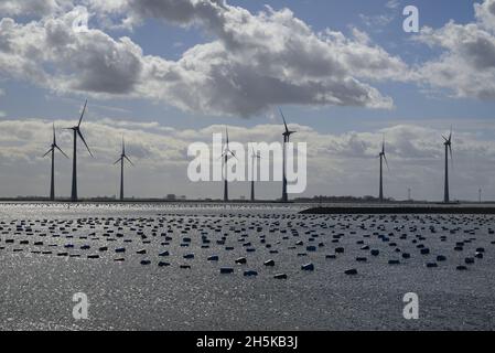 Skyline mit Windturbinen und Meeresarm mit Muscheln an der Küste für Muschelkultur, nahe Bruinisse, Niederlande; Zeeland, Niederlande Stockfoto