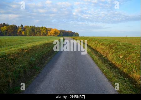 Asphaltierte Straße zwischen zwei Feldern im Herbst: Vielbrunn, Michelstadt, Odenwald, Hessen, Deutschland Stockfoto