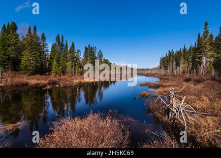 Monts-Valin Nationalpark, in der Region Saguenay-Lac-Saint-Jean von Quebec; Quebec, Kanada Stockfoto