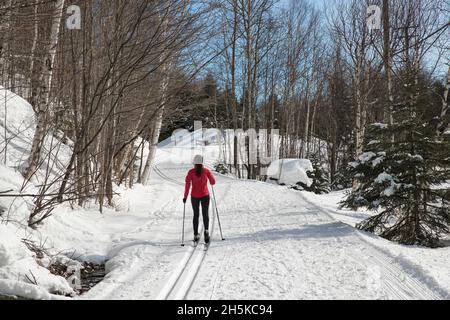 Skilanglauf Klassischer Stil Nordisches Skifahren im Wald. Frau im Winter macht Spaß Wintersport im Schnee auf Langlauf in Stockfoto