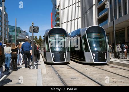 Europa, Luxemburg, Luxemburg-Stadt, Plateau du Saint-Esprit, zwei moderne Straßenbahnen, die an der Straßenbahnhaltestelle Hamilius am Boulevard Royal vorbeifahren Stockfoto