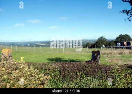 Feld und Zäune aus dem 68 Café, A68, Toft Hill, Bishop Auckland, County Durham, VEREINIGTES KÖNIGREICH Stockfoto