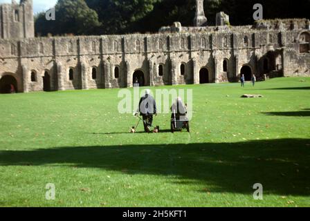 Zwei Personen, die auf dem Gras vor dem Kirchenschiff und dem Großen Kreuzgang der Fountains Abbey, Aldfield, in der Nähe von Ripon, North Yorkshire, England, spazieren Stockfoto