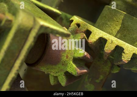 Ungenutztes Zahnrad mit grünem Moos bedeckt. Zahnräder unverändert. Zahnräder sitzen jahrzehntelang still. Stockfoto