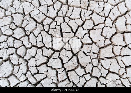 Konzept der globalen Erwärmung . Trockene Risse im Land, schwere Wasserknappheit. Trockenheitskonzept. Stockfoto