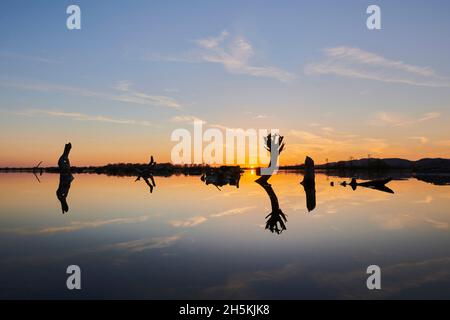 Sonnenuntergang über dem Fluss Danubia, Oberpfalz, Bayerischer Wald; Bayern, Deutschland Stockfoto