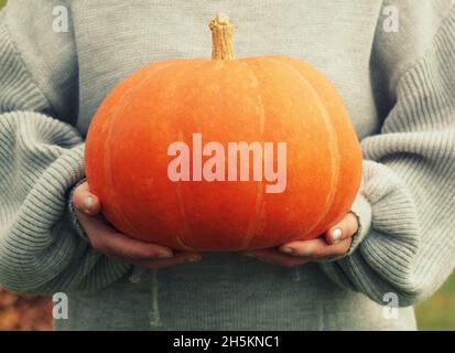 Frau hält großen Kürbis in den Händen, halloween-Thema, Herbsternte, Frauen Hände Stockfoto