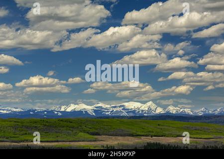 Schneebedeckte Bergkette mit grünen Hügeln im Vordergrund und Wolken am blauen Himmel; Calgary, Alberta, Kanada Stockfoto