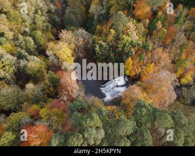 Kelso, Großbritannien. November 2021. Kelso, Großbritannien, Mittwoch, 10. November 2021 . Stichill Linn Wasserfall auf dem Eden Water, auf dem Newton Don Anwesen am Stadtrand von Kelso. Umgeben von den herbstlichen Farben der Grenzen Landschaft und Wälder. Das Wasser fällt über 40 Fuß so breit wie hoch. ( Kredit: Rob Gray/Alamy Live News Stockfoto