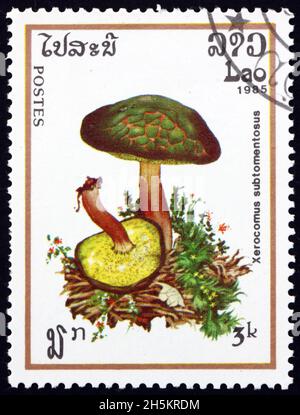 LAOS - UM 1985: Eine in Laos gedruckte Marke zeigt Wildlederbolete, zerklomus subtomentosus, essbare Pilze, um 1985 Stockfoto