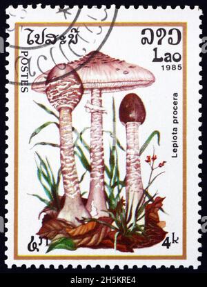 LAOS - UM 1985: Eine in Laos gedruckte Marke zeigt Sonnenschirmpilz, Makrolepiota procera, essbare Pilze, um 1985 Stockfoto