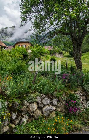 Schöne Aussicht auf den Regionalen Naturpark des Bauges-Massivs in Frankreich Stockfoto