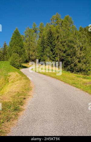 Eine Straße an den Hängen des Monte Morgenleit in der Nähe von Sauris di Sopra, Provinz Udine, Friaul-Julisch Venetien, Nordostitalien. Ende September Stockfoto