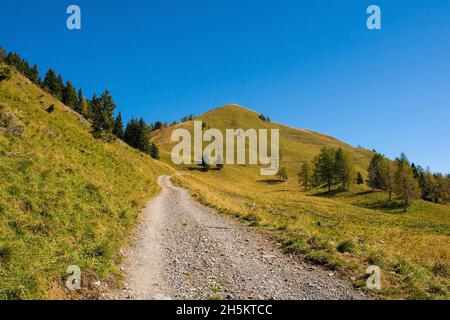 Eine Straße an den Hängen des Monte Morgenleit in der Nähe von Sauris di Sopra, Provinz Udine, Friaul-Julisch Venetien, Nordostitalien. Ende September Stockfoto