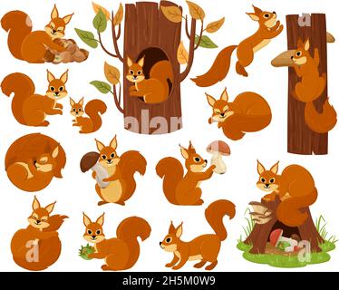 Cartoon Eichhörnchen Wald Tier Charakter, schlafen, springen, spielen. Wald wild flinken Eichhörnchen Vektor Illustration Set. Niedliche Hölzer Fauna Nagetier Stock Vektor