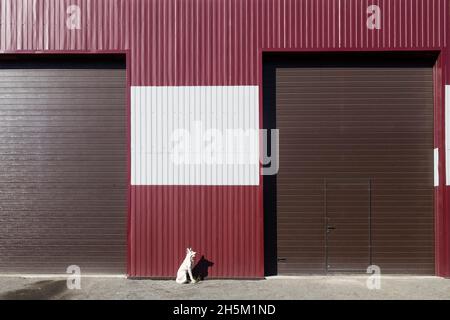 Weiße Keramik-Hundeskulptur steht zwischen zwei Türen einer burgunderrot lackierten Metallgarage Stockfoto