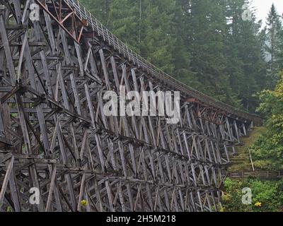 Oberer Abschnitt der hölzernen Eisenbahnbrücke Kinsol Trestle an nebligen Tagen in der Herbstsaison, die durch dichten Wald auf Vancouver Island, BC, Kanada führt. Stockfoto