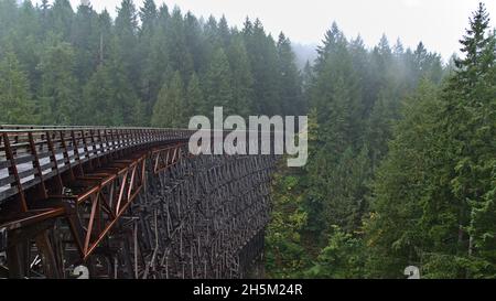 Mystischer Blick auf die restaurierte historische Eisenbahnbrücke Kinsol Trestle auf Vancouver Island, British Columbia, Kanada, zwischen dichtem Wald mit Holzpfad. Stockfoto