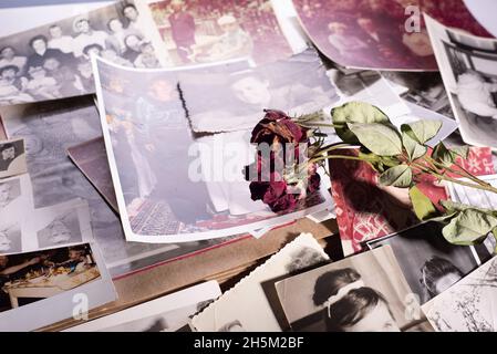 Ukraine. Krivoy Rog. November 2021.Stillleben stapelt von alten Fotografien von Menschen unterschiedlichen Alters mit getrockneten Blumen Stockfoto
