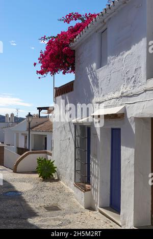 Dorf Frigiliana, typische Straßen der Axarquia in Malaga. Andalusien, Spanien Stockfoto