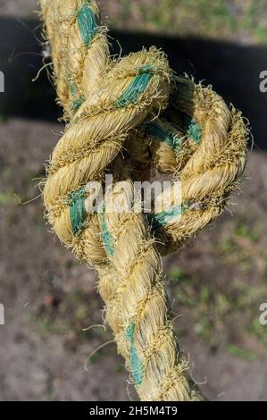 Großer Knoten im Seil Stockfoto